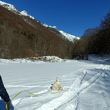 Стаи За Гости Рила Εξωτερικό φωτογραφία
